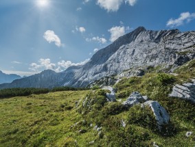 摄影深山老林图片大全——探寻自然之美摄影深山老林图片大全高清